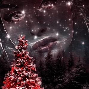 Meet your Posher, Isabella